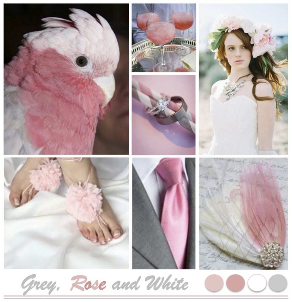 ROYAL GALAH JPG 2