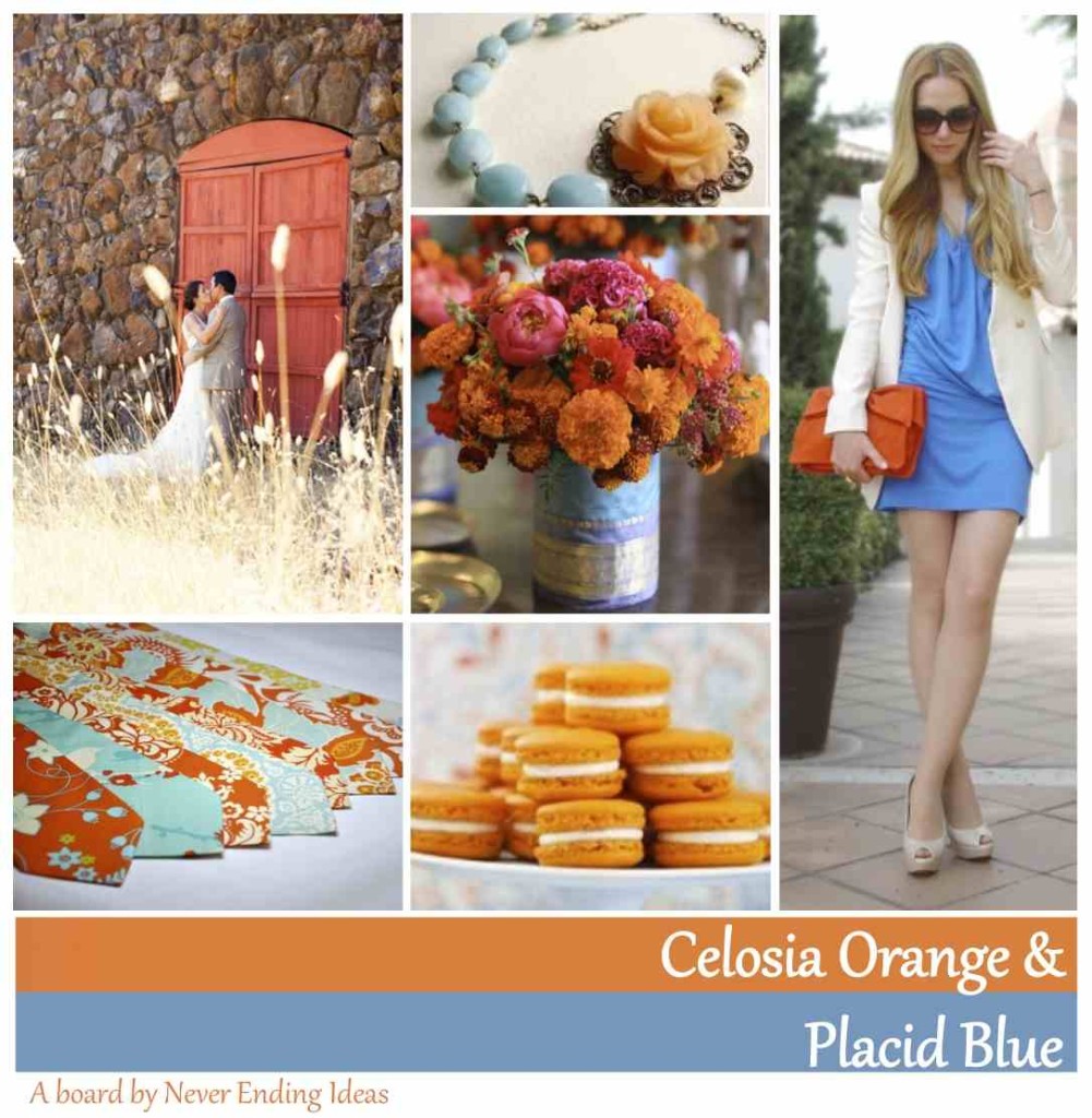 celosia orange & placid blue 2